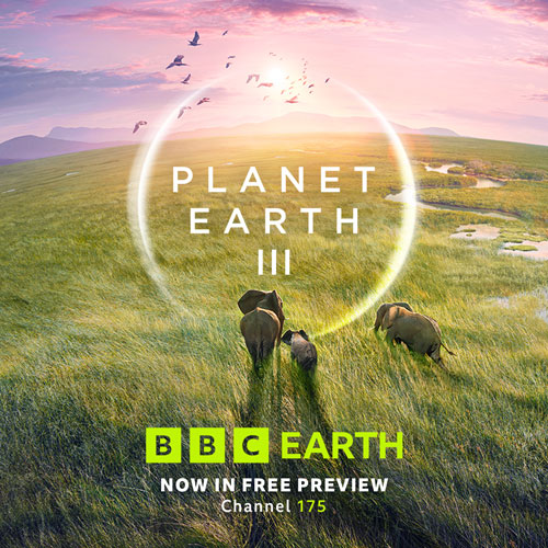 Bbc free outlet internet tv